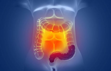 קולונוסקופיה וירטואלית או רגילה? המדריך הרפואי להחלטה נכונה