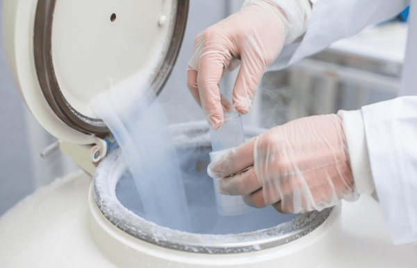 אלפי עוברים ללא מענה: הכנסת מקדמת בחינה מחודשת של הליך הקפאה והפשרה