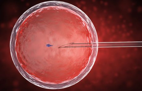 התאמה גנטית של תרומת ביציות – למה חשוב לבדוק מראש?