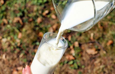 מה אתם באמת יודעים על חלב ואיך הוא משפיע על הבריאות שלנו? 10 מיתוסים על חלב ומוצריו