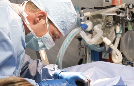 האיגוד לכירורגיה פלסטית בהסתדרות הרפואית מציג: שבוע הרפואה האסתטית הראשון בישראל