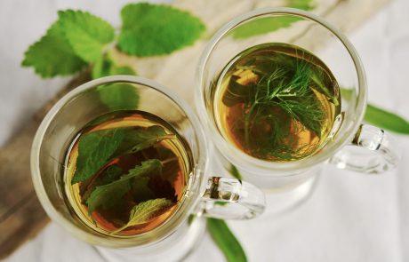 כל מה שרציתם לדעת על תה ירוק ולא העזתם לשאול